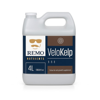 REMO VeloKelp – Booster extraits d'algues