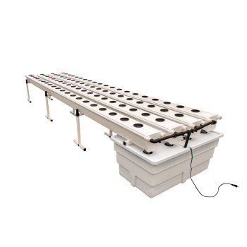 Système Aéro-Hydroponique GrowStream 80-V2 - Terra Aquatica