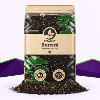 Bonsai Mix SybaSoil — substrat drainant pour bonsaïs, 5 L