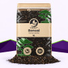 Bonsai Mix SybaSoil — substrat drainant pour bonsaïs, 5 L