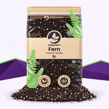 Fern Mix SybaSoil — substrat pour fougères, 5 L