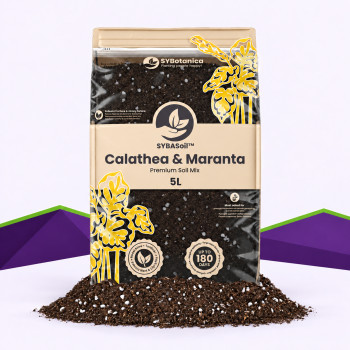 Calathea & Maranta Mix SybaSoil — substrat pour calatheas et marantas, 5 L