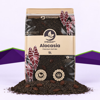 Alocasia Mix SybaSoil — substrat pour alocasias, 5 L