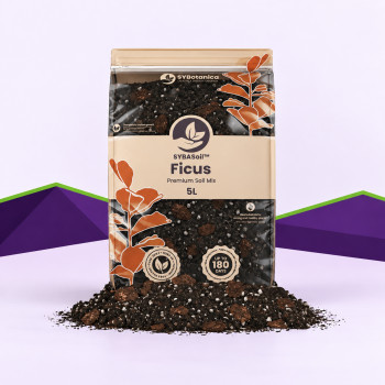 Ficus Mix SybaSoil — substrat pour ficus, 5 L