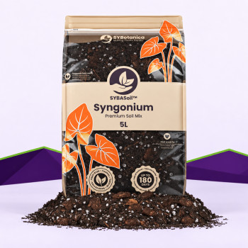 Syngonium Mix SybaSoil — substrat pour syngoniums, 5 L