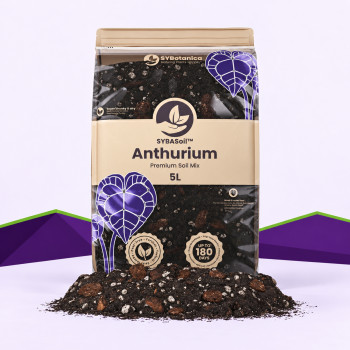 Anthurium Mix SybaSoil — substrat pour anthuriums, 5 L