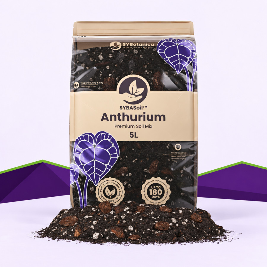 Anthurium Mix SybaSoil — substrat pour anthuriums, 5 L