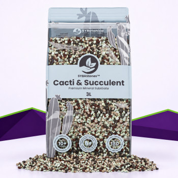 Cacti & Succulent Mineral Mix SybaSoil &mdash; m&eacute;lange min&eacute;ral pour cactus, 3 L — SybaSoil