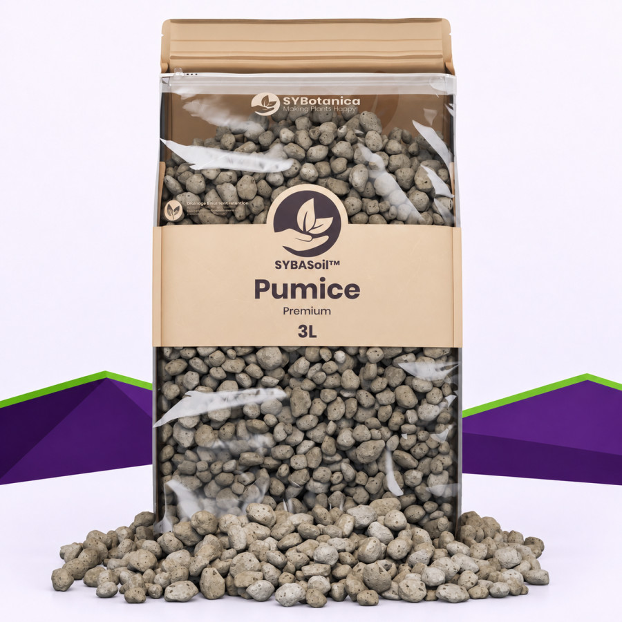 Pierre ponce Chunky 8–16 mm SybaSoil — composant minéral gros calibre, 3 L