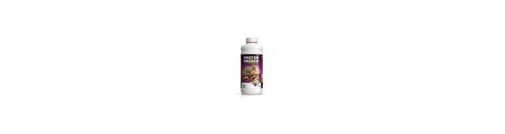 Stimulateur racinaire