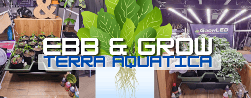 Hydroponie pour Débutants : Présentation du Système Ebb Grow de Terra Aquatica