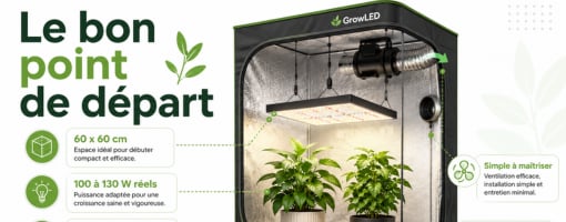 Quelle puissance de lampe LED horticole pour un débutant en grow ?