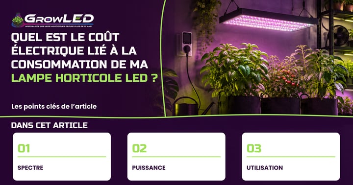 Quel est le coût électrique lié à la consommation de ma lampe horticole LED ?