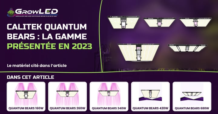 Découvrez les Quantum Bears de la marque Calitek au meilleur prix sur GrowLED