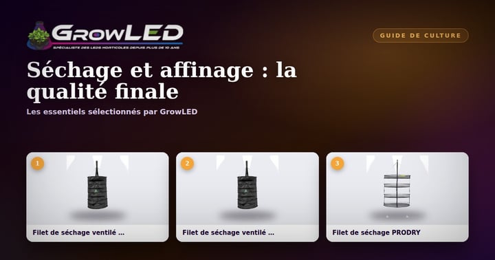 Séchage et affinage : l'étape qui fait toute la qualité de la récolte