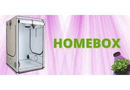 HomeBox : La Chambre de Culture Idéale pour Jardiniers d'Intérieur