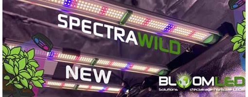 Les nouveaux SpectraWILD de la marque BloomLED - La domotique arrive pour la culture en intérieur !