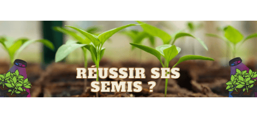 Le kit de produits parfait pour réussir mes semis en intérieur