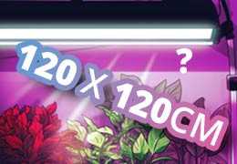 Comment choisir la meilleure lampe horticole LED pour votre surface de culture de 120cm x 120cm en 2023