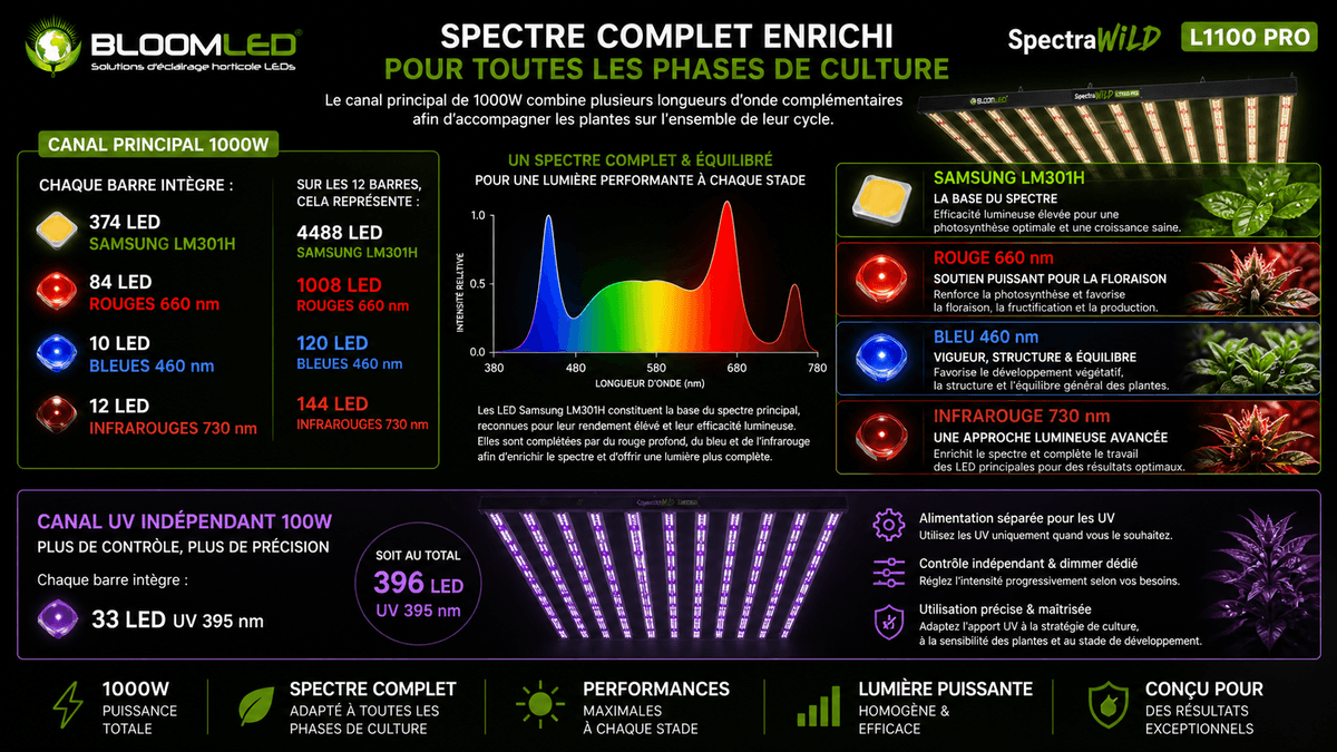 spectre horticole LEDs