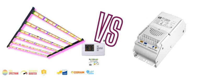 lampe horticole LED SpectraWILD M650 BloomLED vs HPS 600W