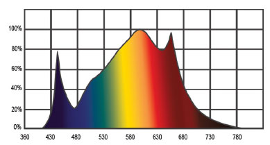 Spectre lampe horticole full spectrum quantum bears calitek