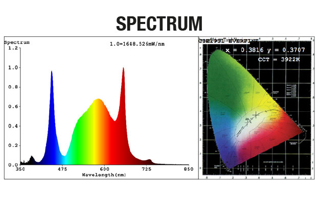 spectre horticole led quantum bears 340w calitek