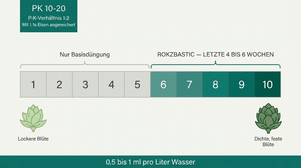 Schema Blueteanwendung Rokzbastic Atami PK 10-20
