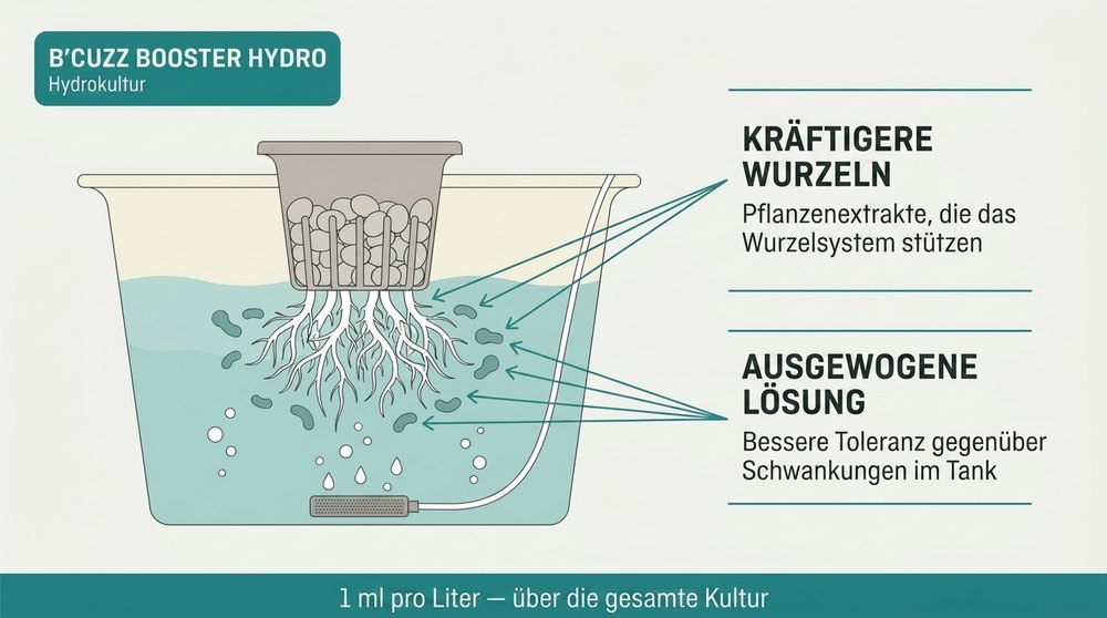 Booster hydro Schema B'Cuzz Atami