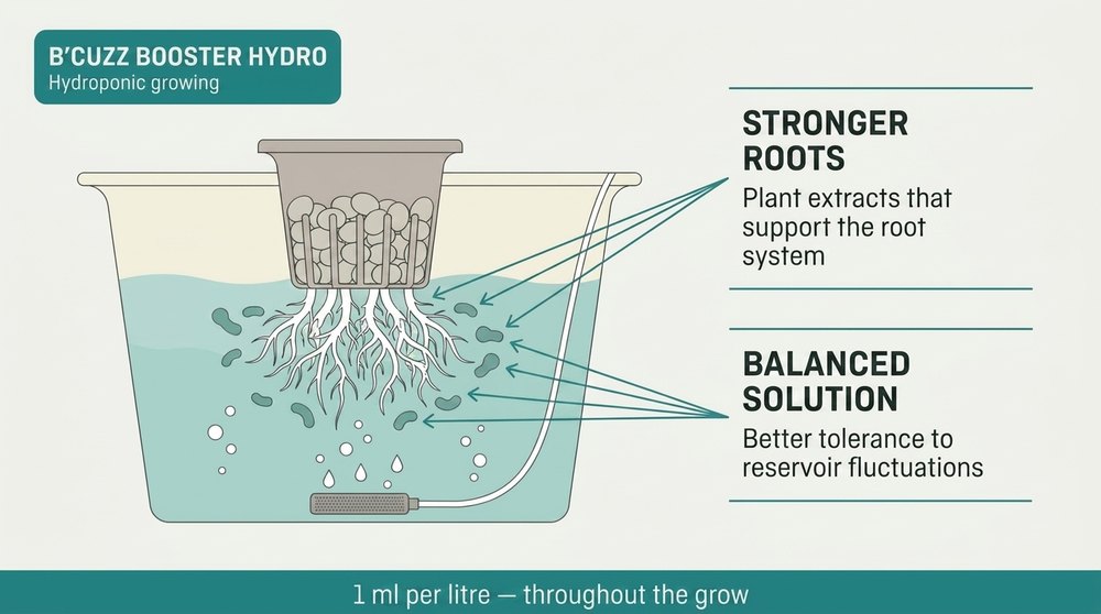 booster hydro diagram B'Cuzz Atami