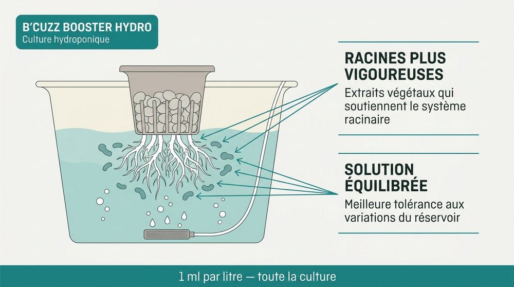 schema booster hydro B'Cuzz Atami