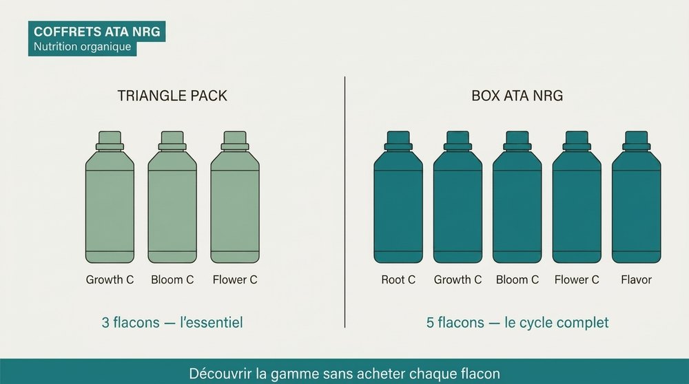 schema coffrets ATA NRG Triangle Pack et Box Atami