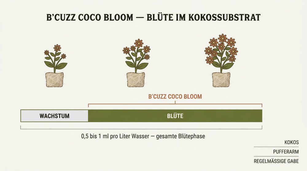 Schema Blütestimulator Kokos B'Cuzz Coco Bloom Atami