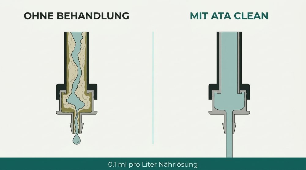 Schema Reinigung Bewaesserungssystem ATA Clean Atami