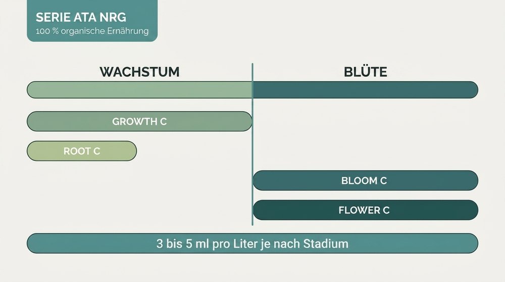 Schema Kulturprogramm ATA NRG Serie Atami
