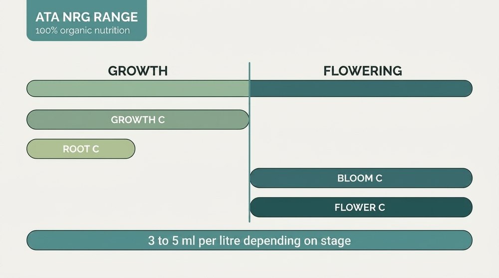 ATA NRG range cultivation programme diagram Atami