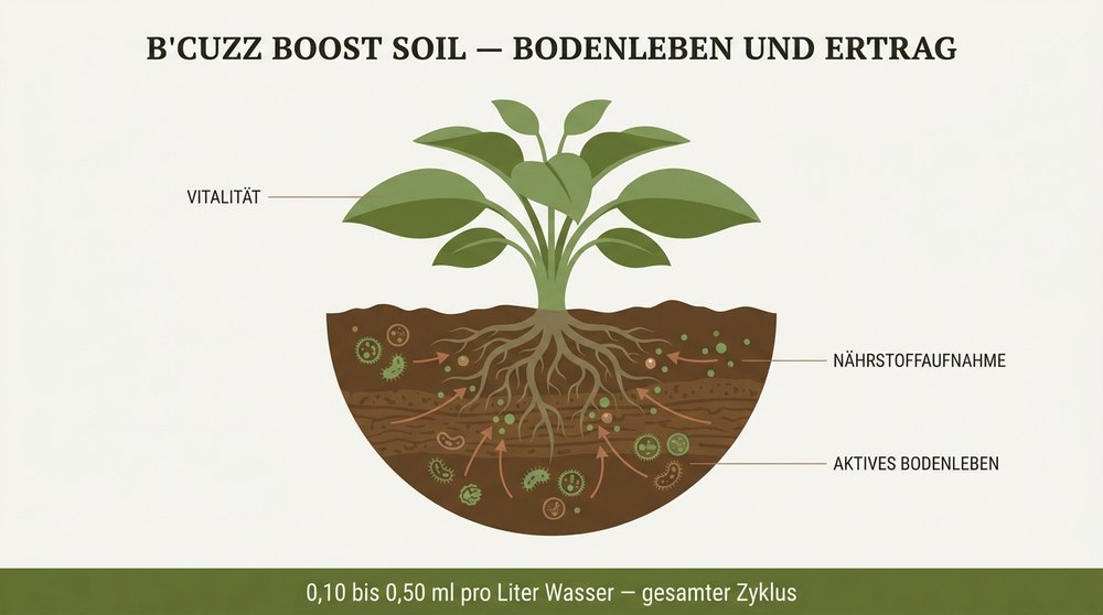 Schema Bodenleben B'Cuzz Boost Soil Atami