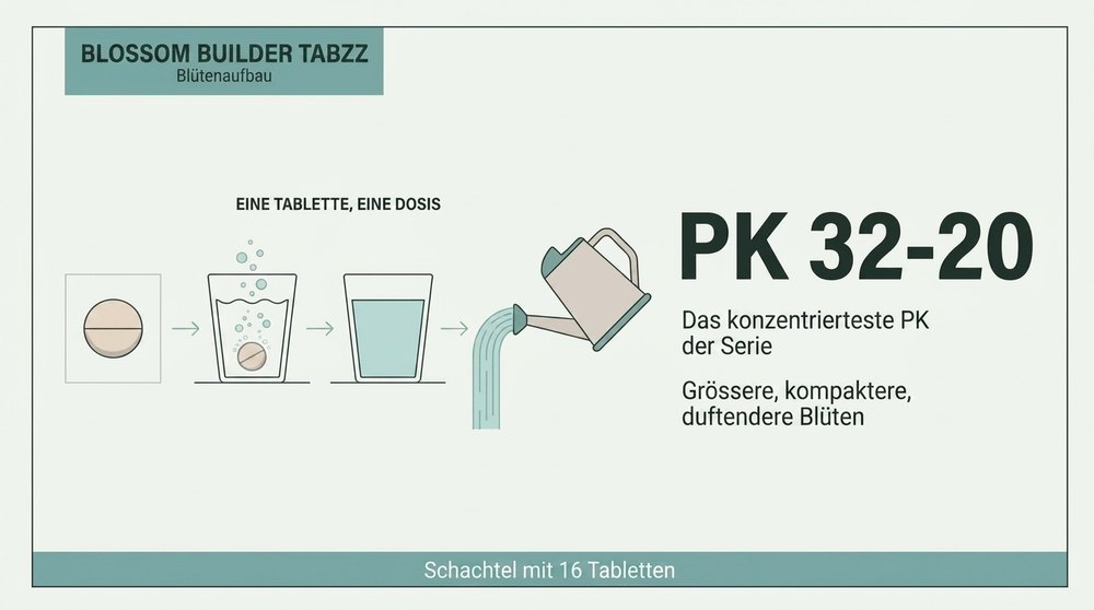 Schema Tablettendosierung Blossom Builder Tabzz Atami