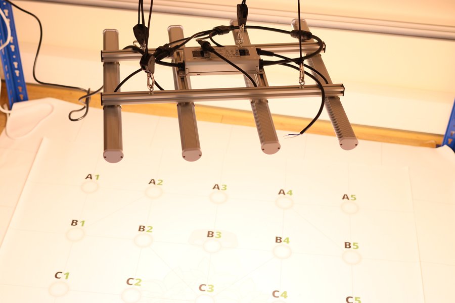 tests eclairage horticole led