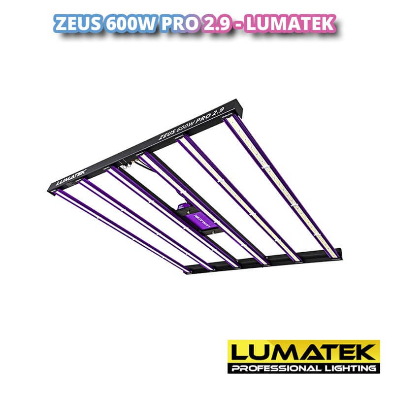 lumatek 600w pro 2.9 culture plantes interieur floraison chambre de culture