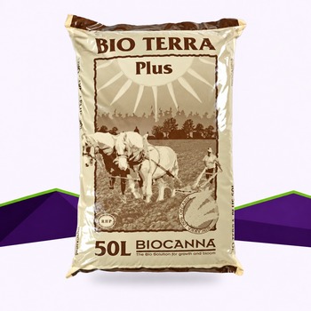 Sac de CANNA Bio Terra Plus