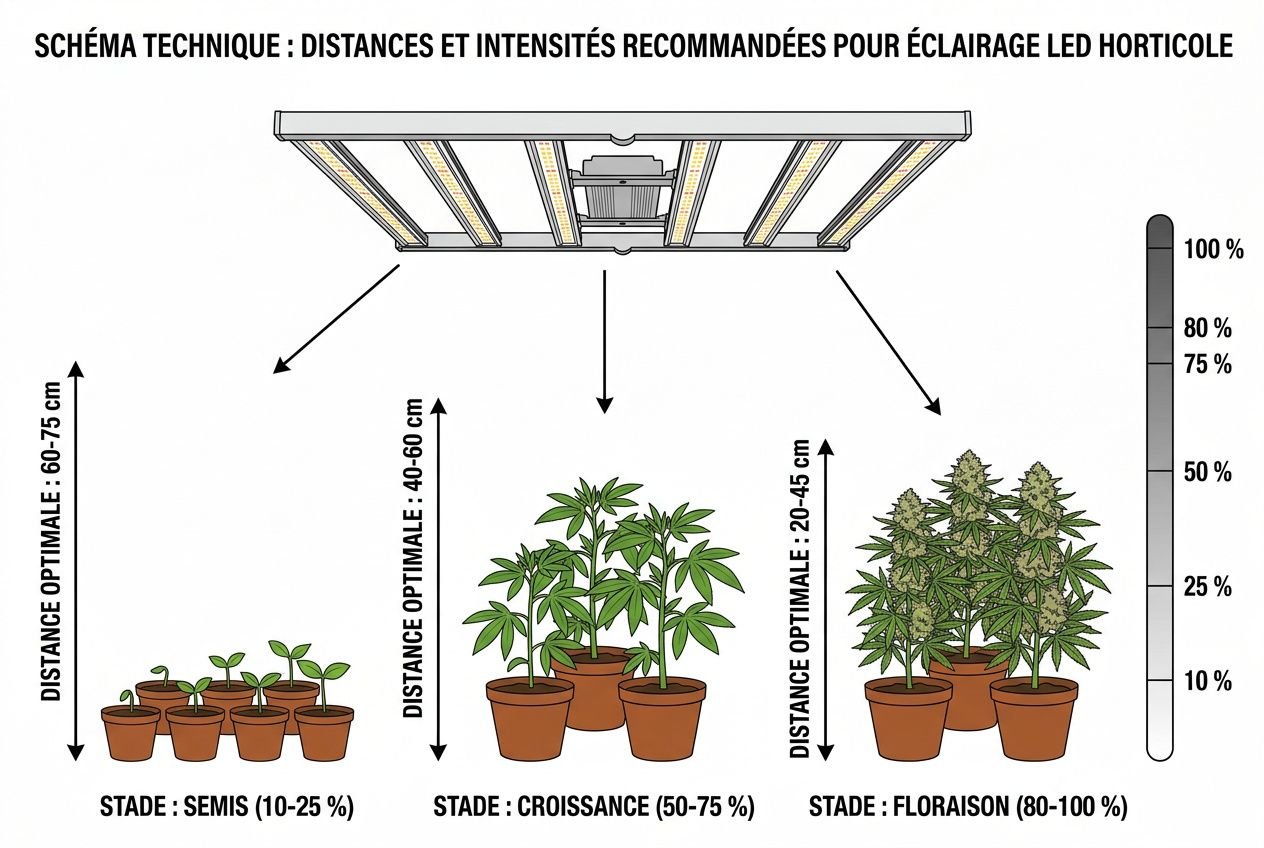 Meilleur lampe led pour culture indoor : guide comparatif 2026
