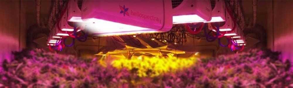 Une lampe de culture LEDs en quelques mots !