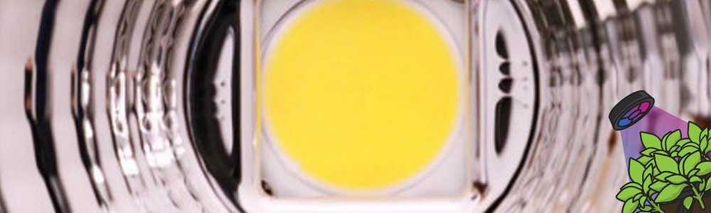 Quels sont les différents types de LEDs ?