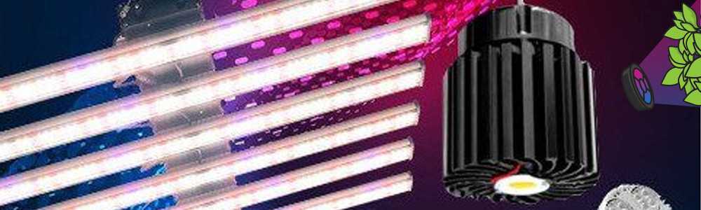 Quelle lampe horticole LED choisir pour ma culture en intérieur ?