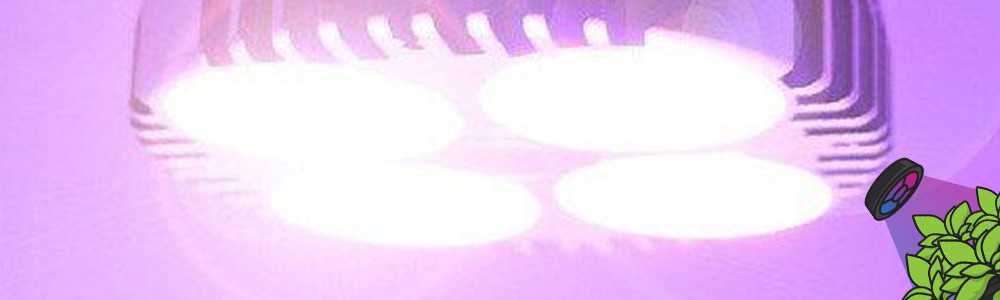 Trouver une bonne LED horticole pour débutant