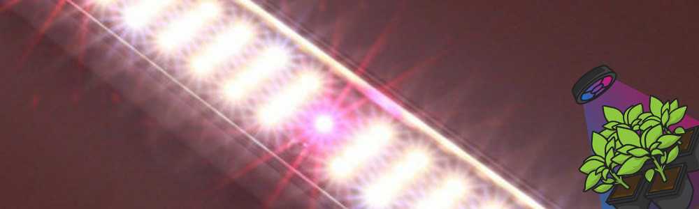 SpectraB.2.G X45 : La barre horticole LED haut de gamme pour croissance and floraison