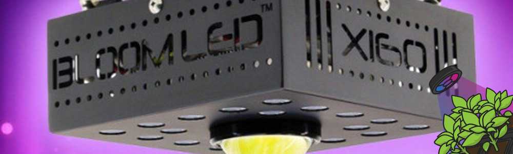 Panneau horticole LED SpectraPANEL X160
