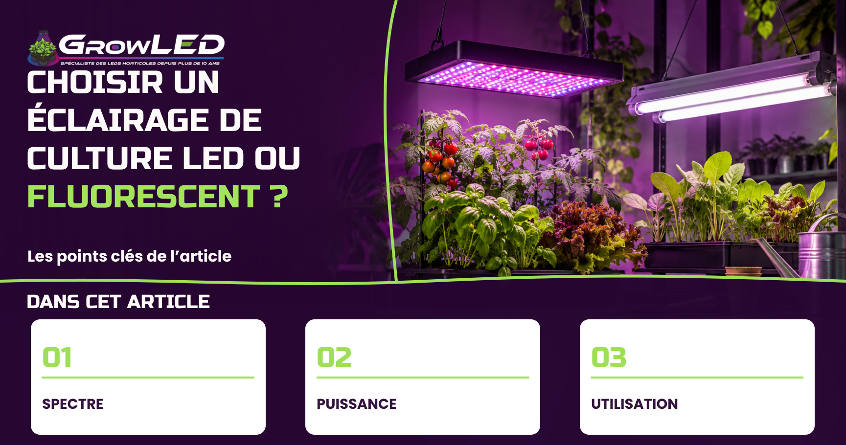 Choisir un éclairage de culture LED ou fluorescent ? Choisir un éclairage de culture LED ou fluorescent ?