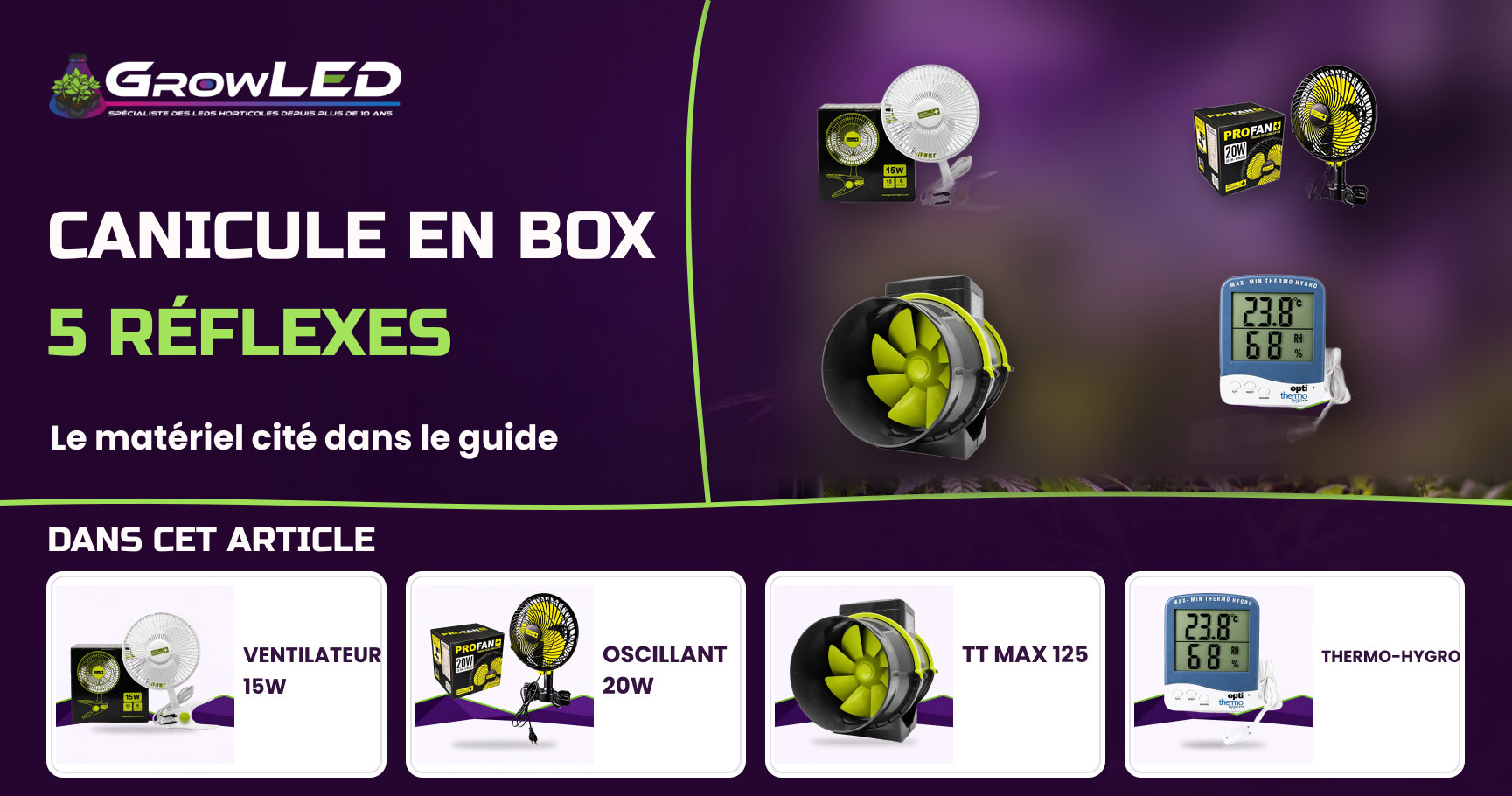 Canicule en box : les 5 réflexes pour protéger vos plantes de la chaleur Canicule en box : les 5 réflexes pour protéger vos plantes de la chaleur
